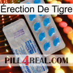 Érection De Tigre new15